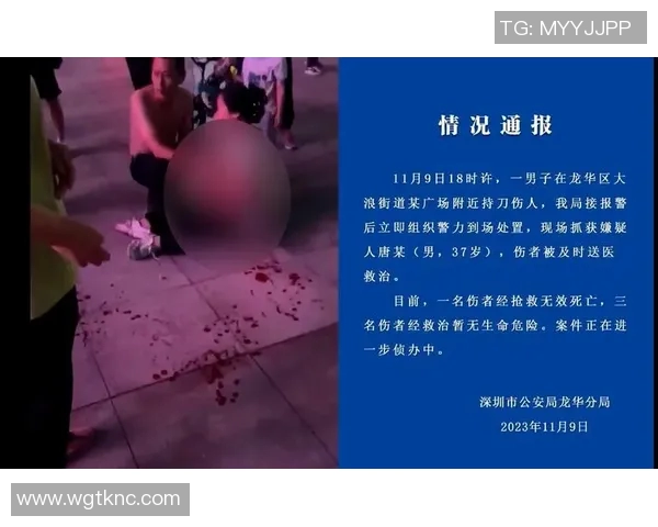 惊悚！沈阳老人持刀致，案件细节曝光引发社会关注